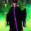 Fun Costumes Plus Size Classic Disney Maleficent Costume For Adults