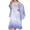 Disguise Deluxe Frozen Snow Queen Elsa Kids Costume