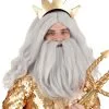 Partytime Wig Disney King Triton Beard And Wig Accessory Kit