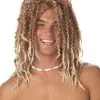 California Costume Collection Men's Beach Bum Wig