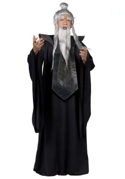 Fun World Sensei Master Costume