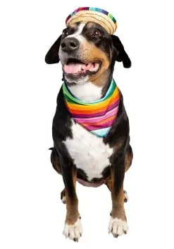 Pet Krewe Bandana And Sombrero Pet Costume Set -Disney Costumes Sales sombrero bandana pet costume set alt 3