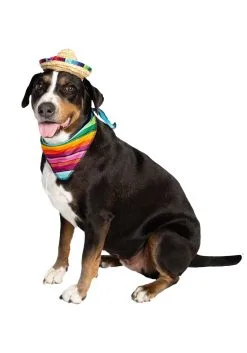 Pet Krewe Bandana And Sombrero Pet Costume Set -Disney Costumes Sales sombrero bandana pet costume set alt 5